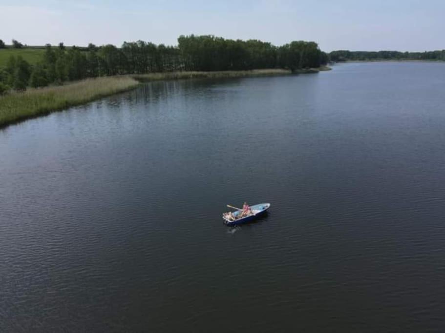 Ferienhaus Mecklenburgische Seenplatte Ruderboot photo 4