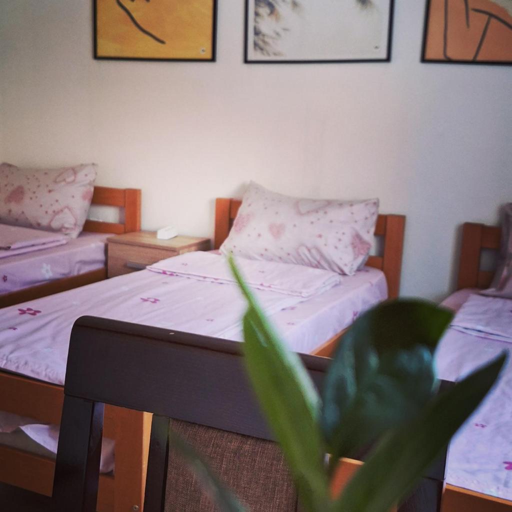 Apartman Živković photo 2