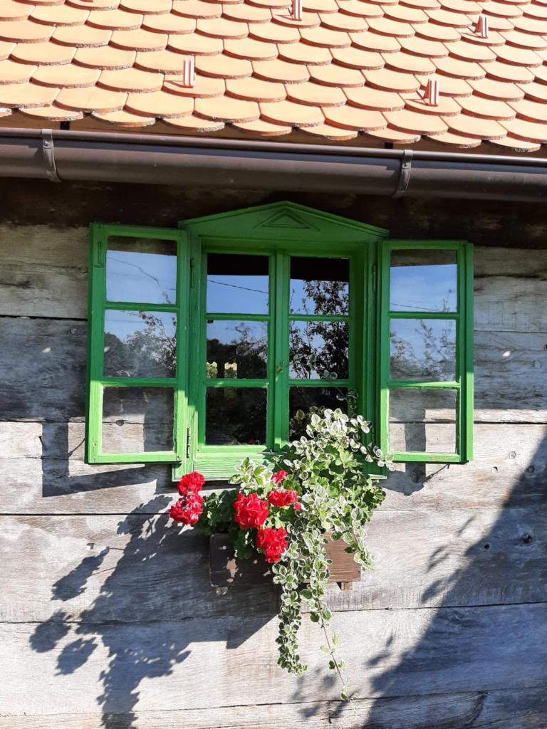 APARTMANI Etno kuća pod Okićem photo 3