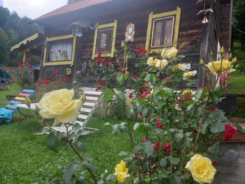 Vikendice Jasen photo 1