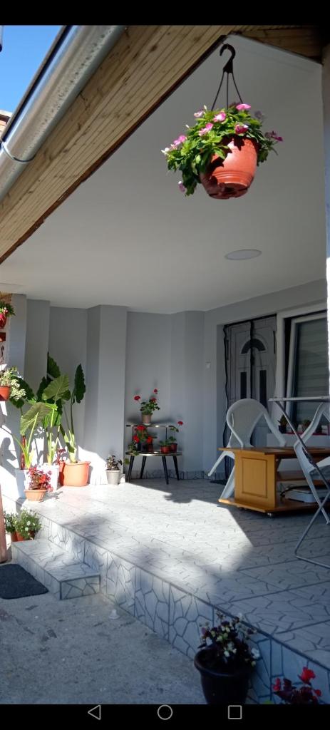 Apartman LJILJANA 061-80-41-693 photo 2