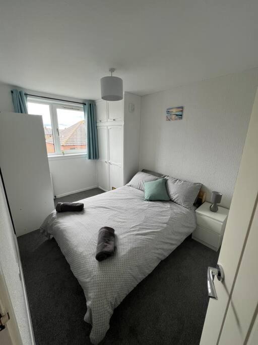 Homely 3 bed town centre flat photo 1