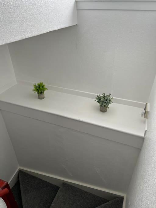 Homely 3 bed town centre flat photo 2