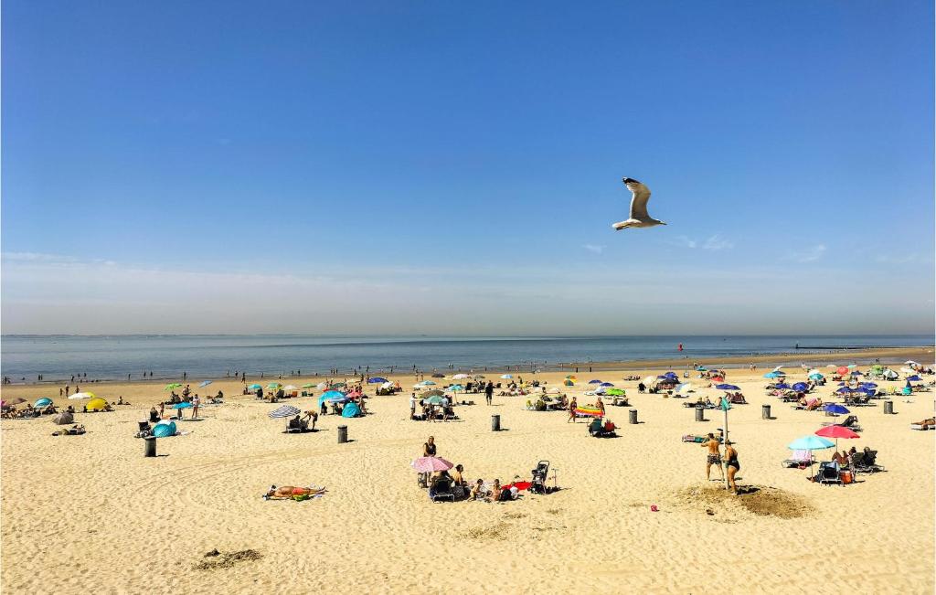 Nice Apartment In Vlissingen With Sauna, Wifi And 1 Bedrooms photo 1