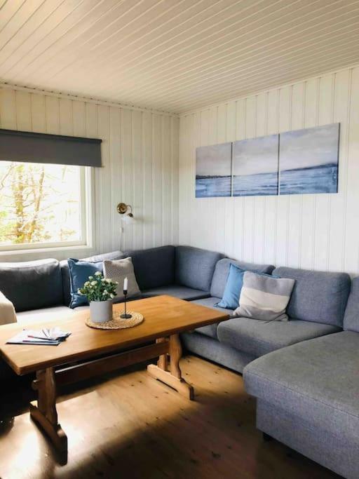 Cottage, boat, spa, private dock, Lillesand photo 2