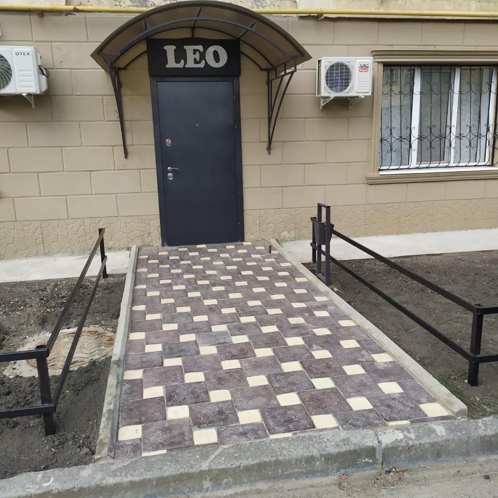 Leo photo 3