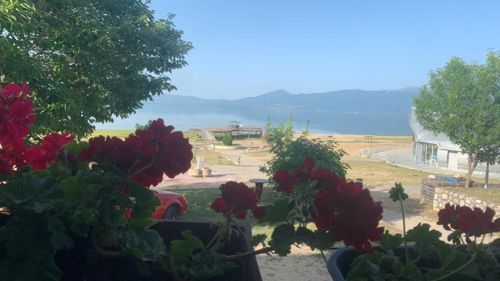 Hotel Riva