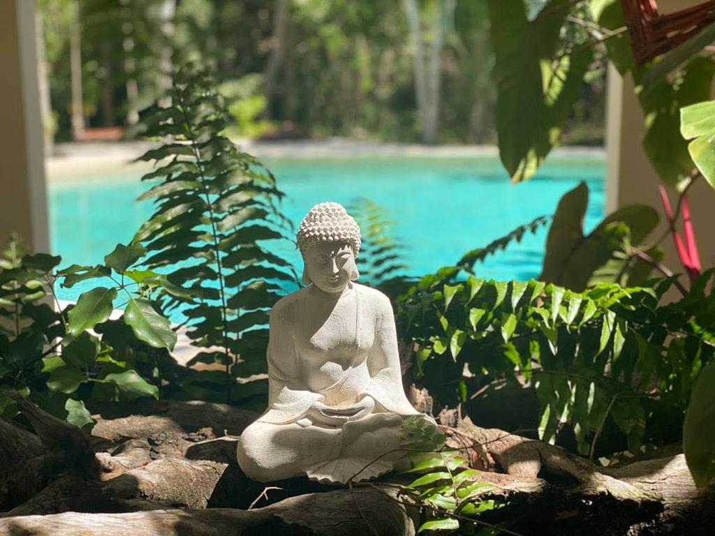 Villa Agua y Fuego photo 2
