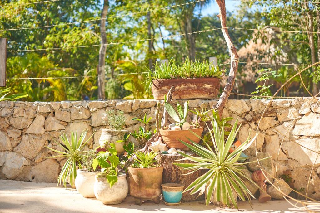 Villa Agua y Fuego photo 4
