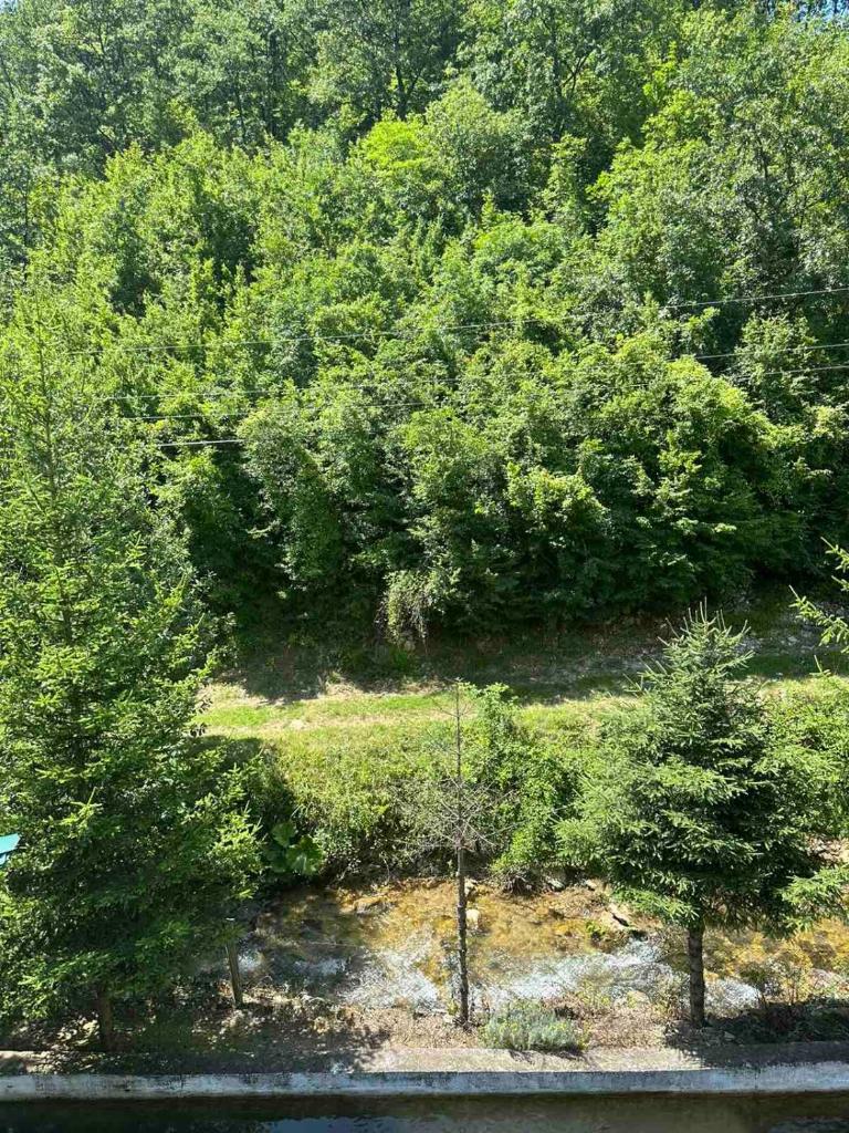 ŽUBOR VRELA photo 4