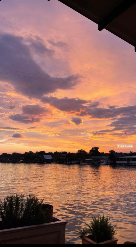 Apartments Zeneva photo 1