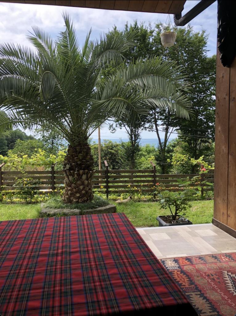 Chalet Ochos Qokhi photo 3