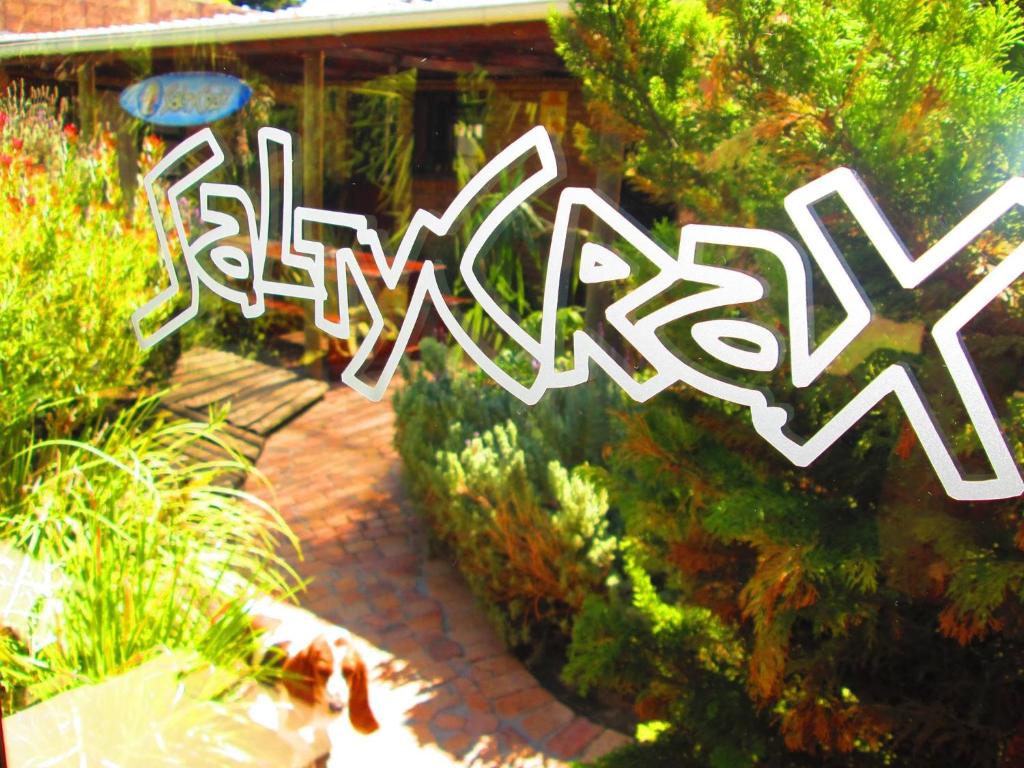 Saltycrax Backpackers and Surf Hostel by CURIOCITY