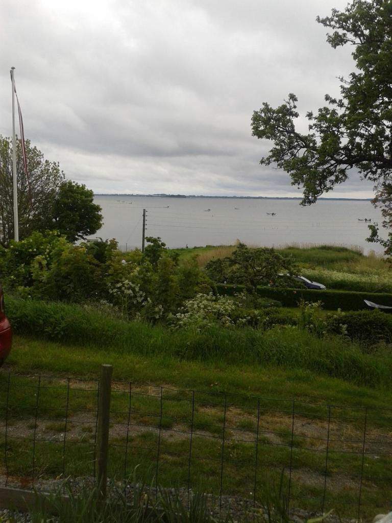 Gæstehus Nyord photo 2