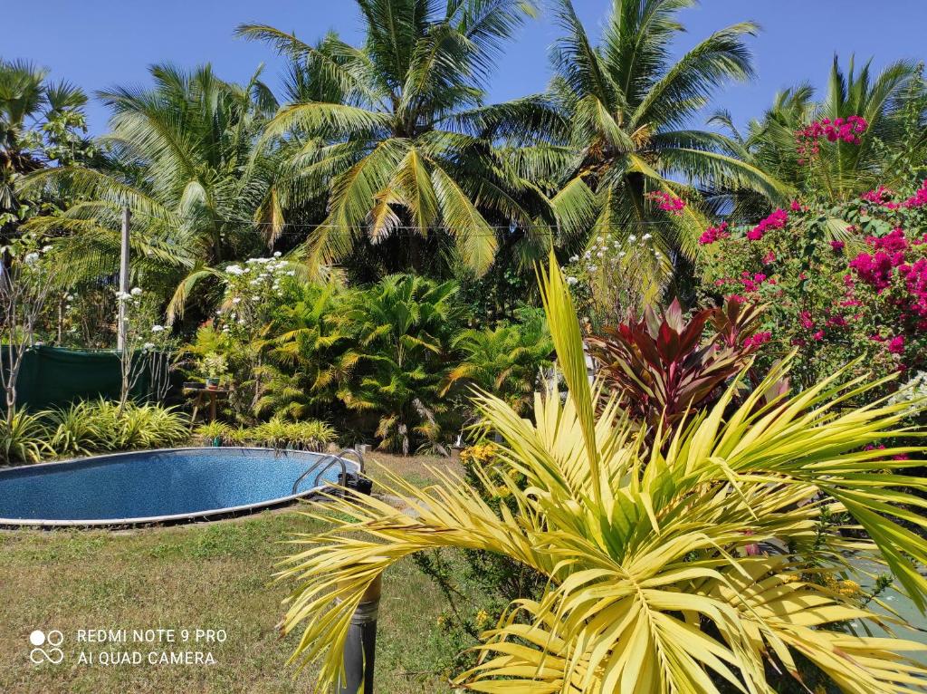 Villa Nemo photo 1