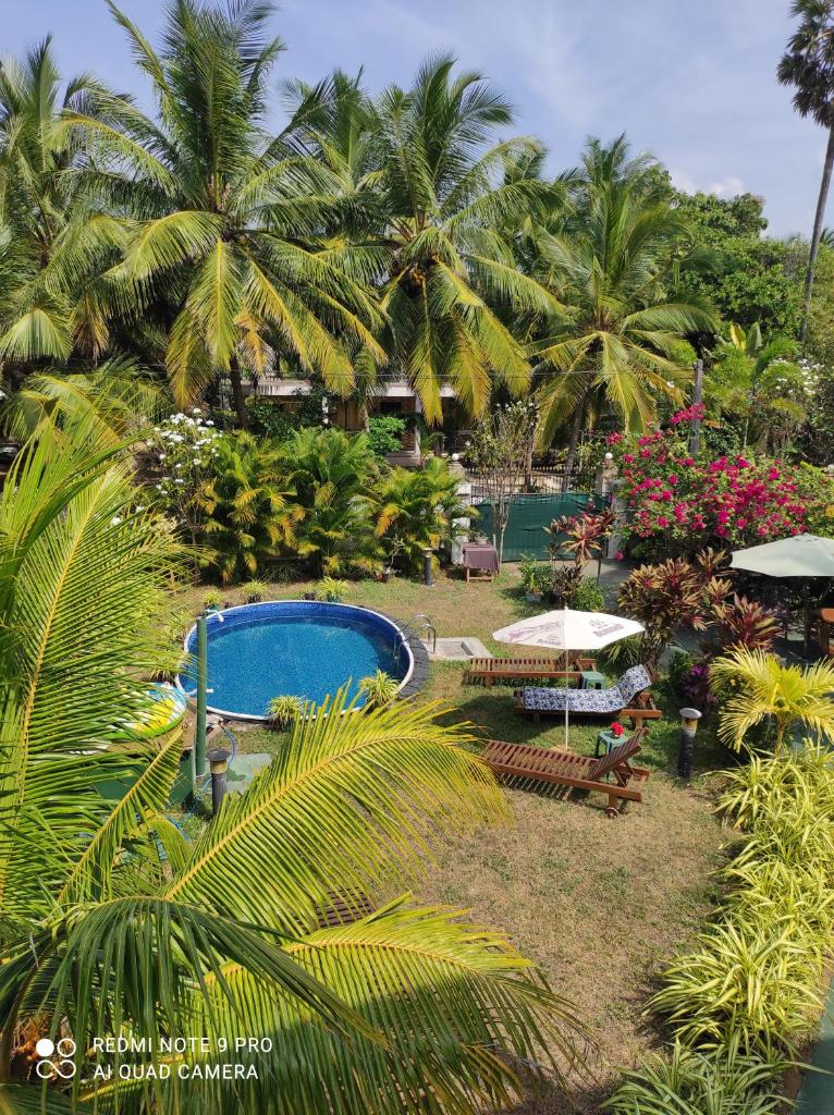 Villa Nemo photo 3