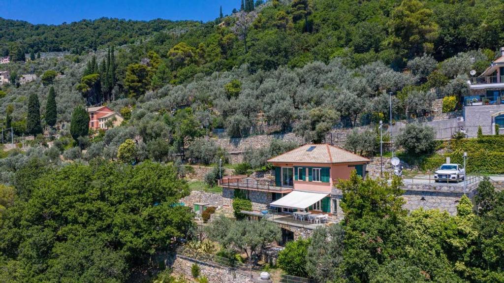 Villa Pia Recco photo 4