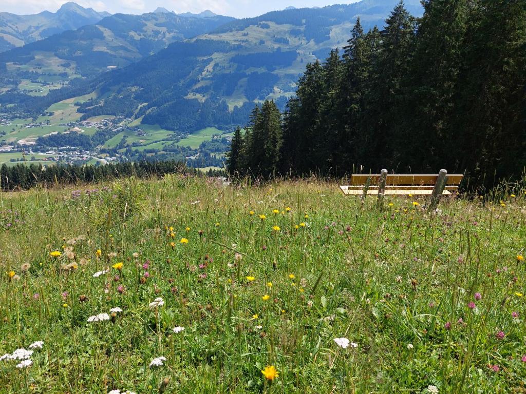 Angererhof photo 4