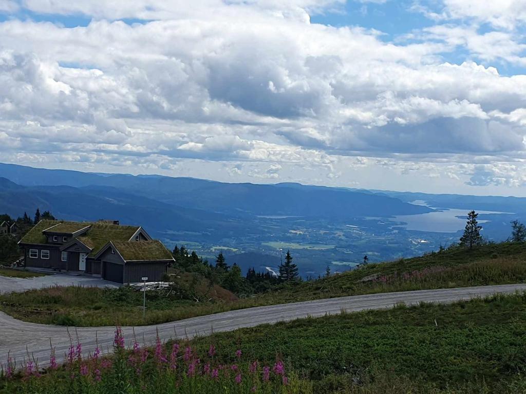 Ski in-out at Lifjell-Mountain cabin with majestic views close to Bø Sommarand photo 2