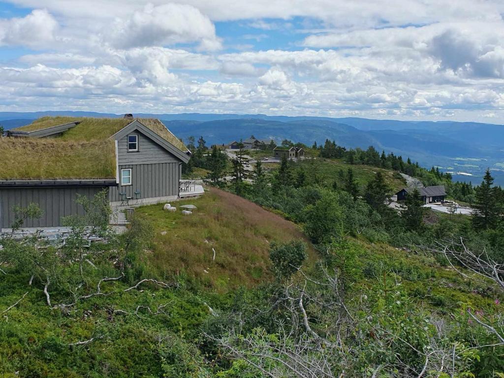 Ski in-out at Lifjell-Mountain cabin with majestic views close to Bø Sommarand photo 1