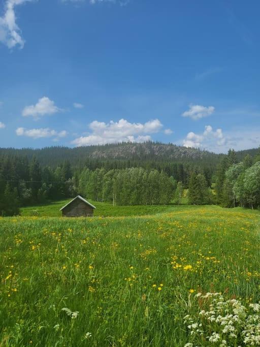 Stugby Marieke - Skärvången photo 2