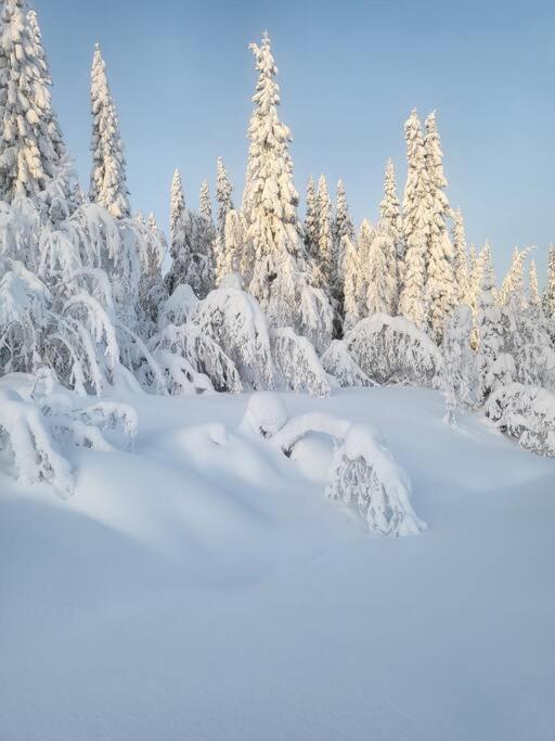 Stugby Marieke - Skärvången photo 4