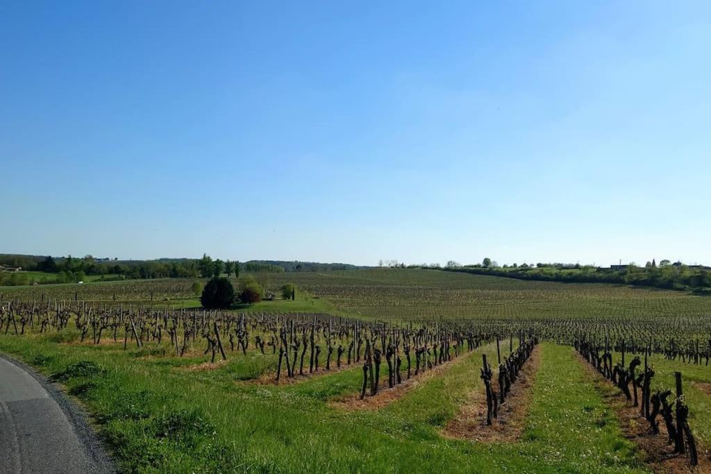 Entre Pierre et Vigne - Charming former Winery Farmhouse with Hot Tub photo 4