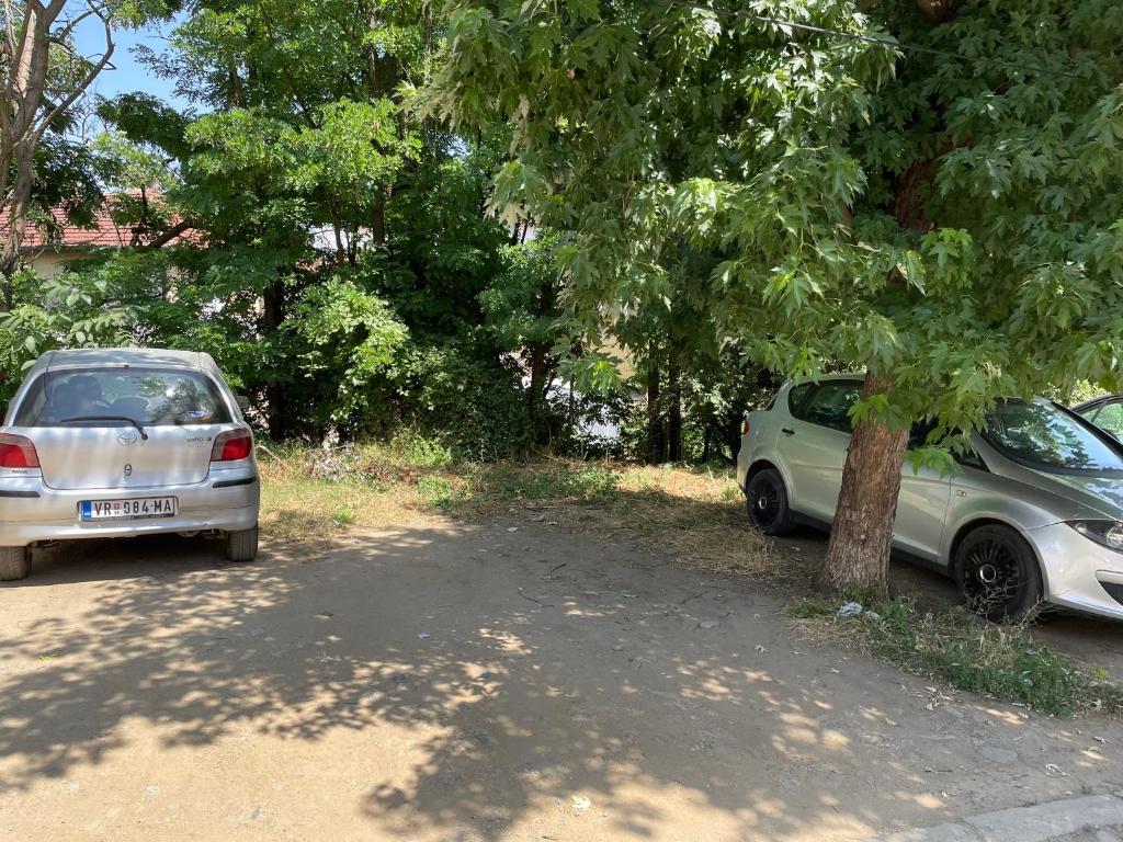 Bora Apartmani - FREE PARKING - CITY CENTER photo 1