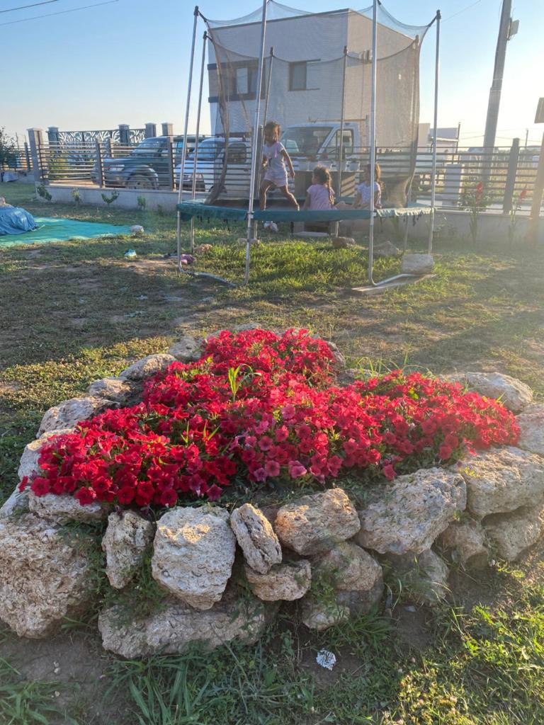 Woodvillage on the Blacksea photo 3