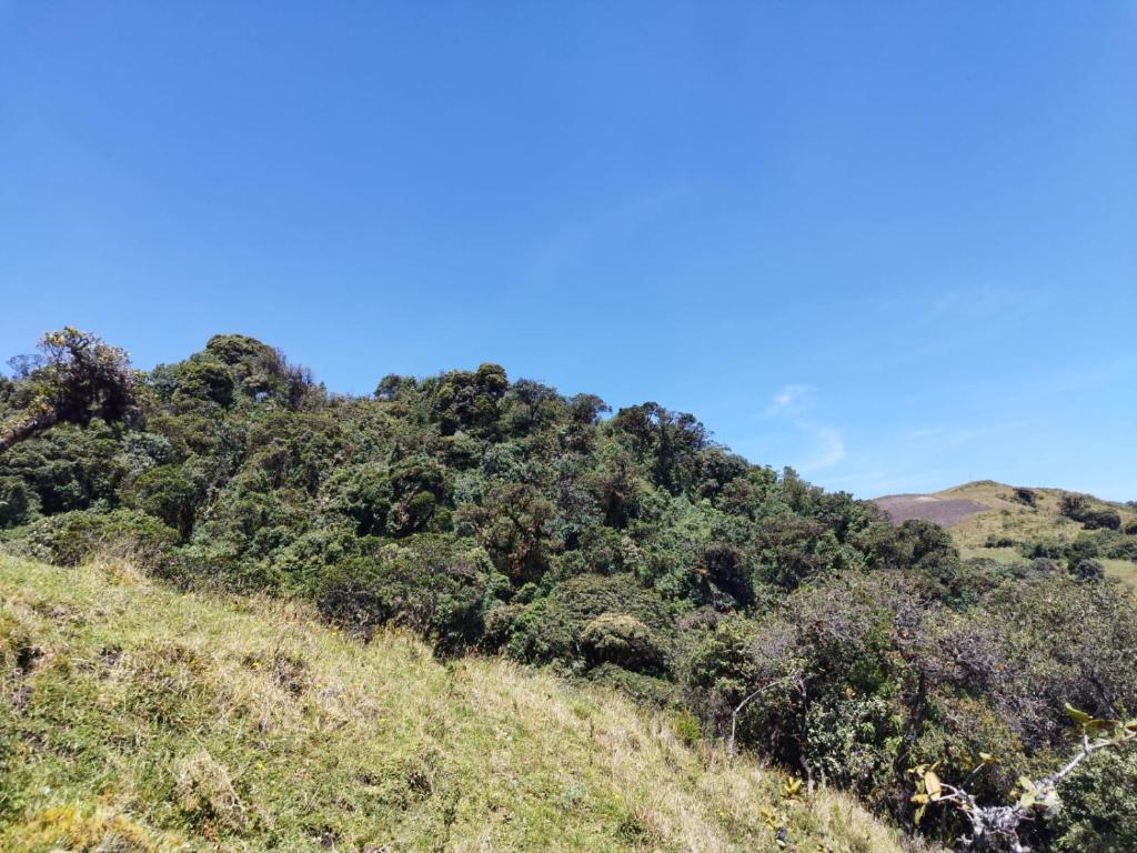 Puyu Pacha Adventure photo 3