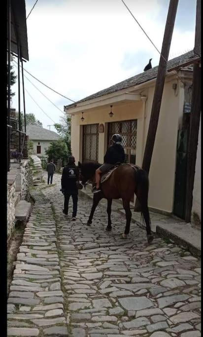 Αρχοντικό Θεανώ 1 Archontiko Theano 1 photo 1