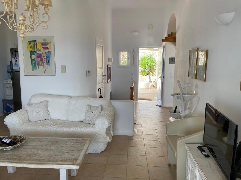 Mykonos TR Villa photo 4