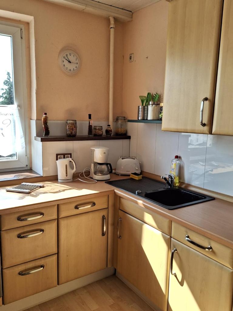 Gaststätte und Pension Zur Schiene photo 2