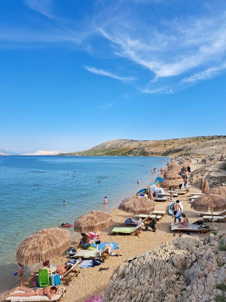 Apartments Loncar-near Zrće beach photo 1