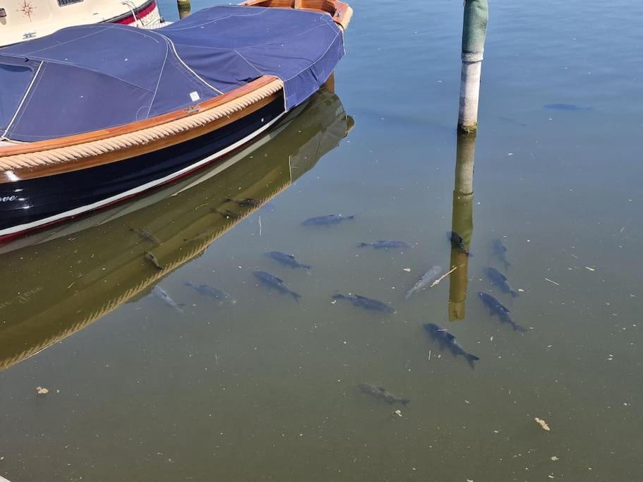 Idyllische Nacht auf holländischem Wanderboot