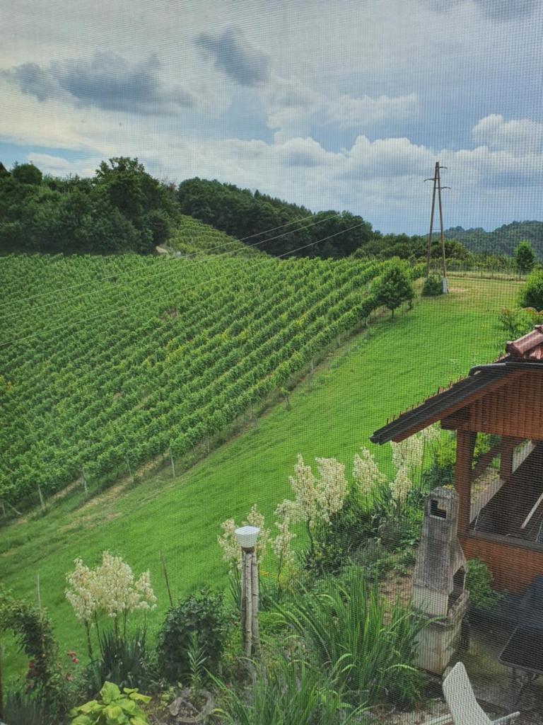 Turistično - Izletniška kmetija Žerjav photo 3