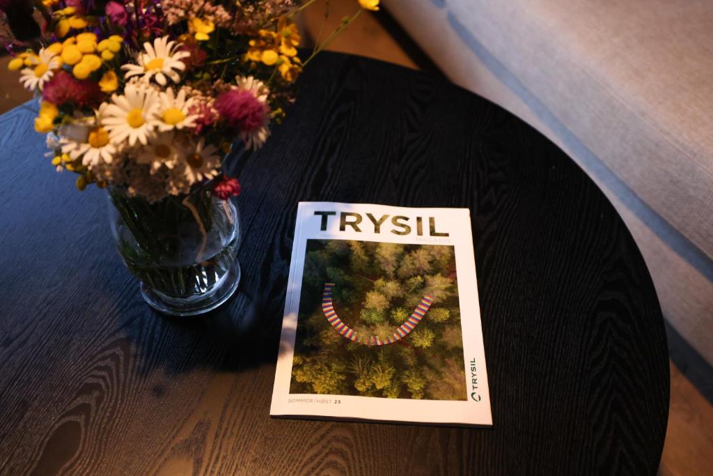 Elegant apartment in Trysil Alpine Lodge photo 4