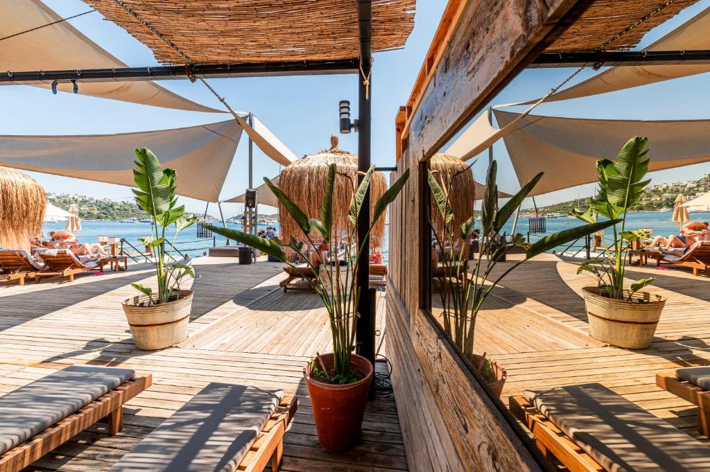 Elista Hotel & Spa photo 4