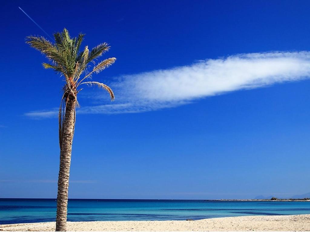 Apartment Palma Gaia by Interhome photo 1