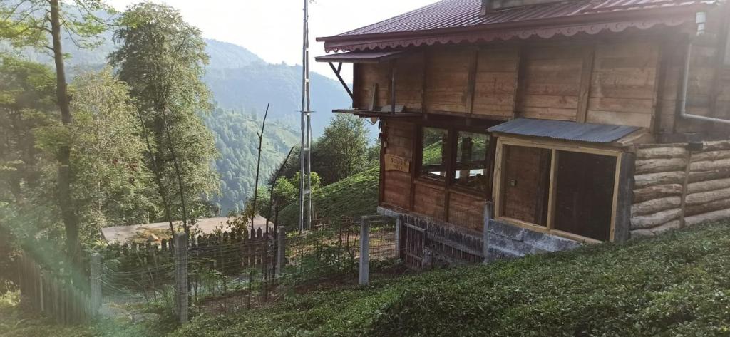 Gunguli Dağ Evi photo 3