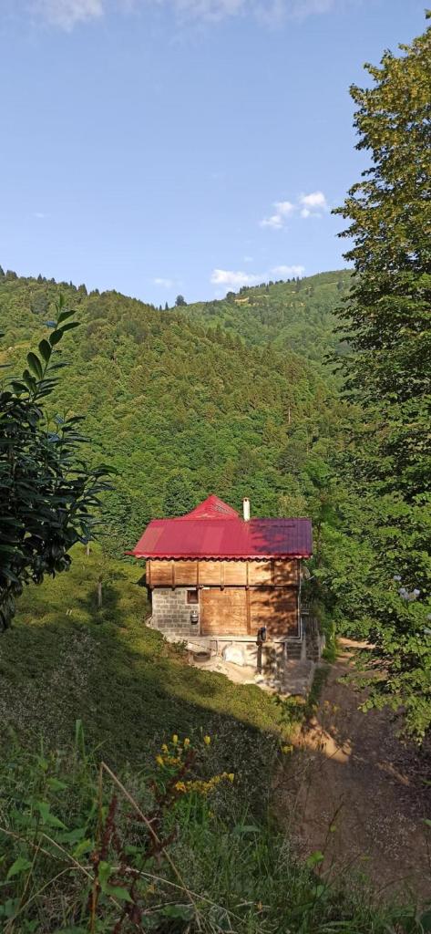 Gunguli Dağ Evi photo 1