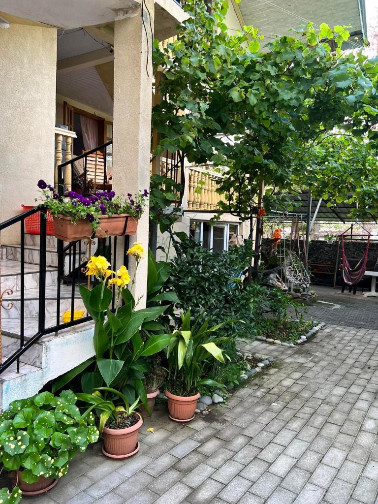Guest House Mari photo 2