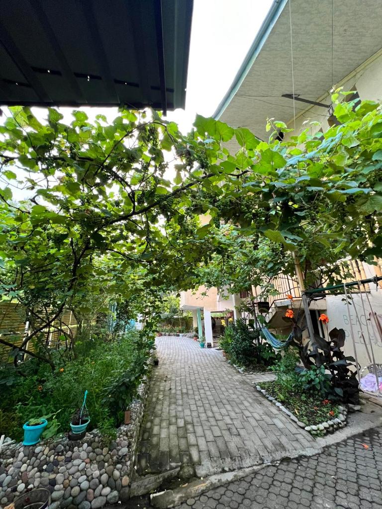 Guest House Mari photo 3