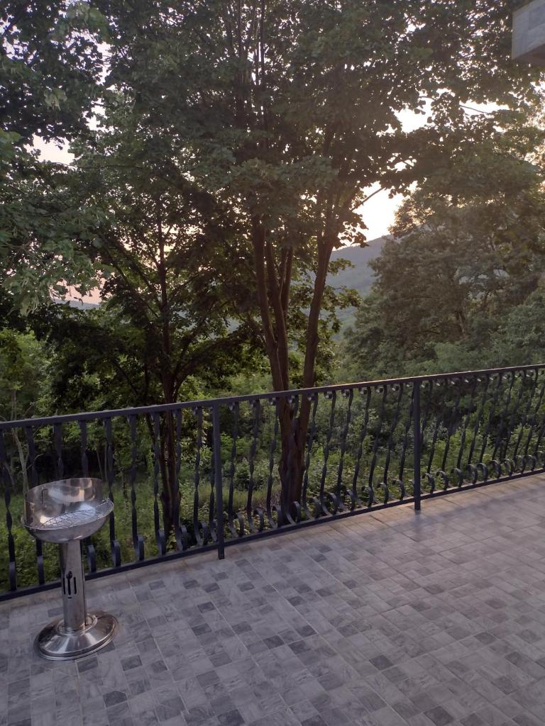 Kosmajska Vila photo 4