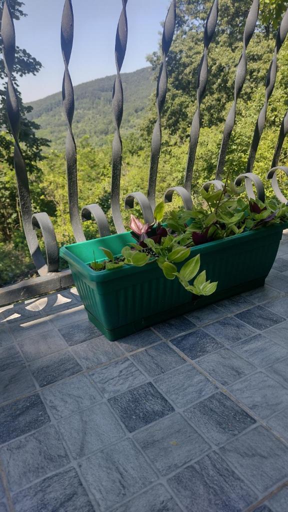 Kosmajska Vila photo 3