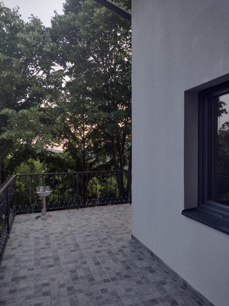Kosmajska Vila photo 2