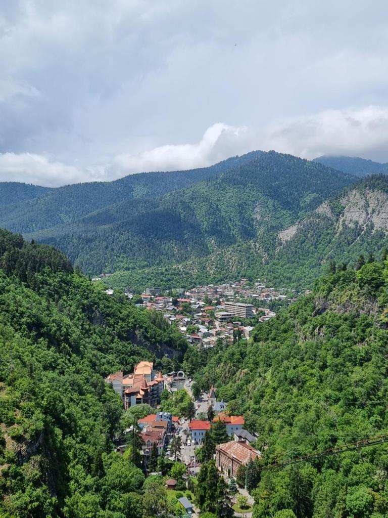 Borjomi Plato hause photo 4