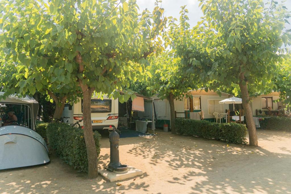 Camping Sènia Caballo de Mar photo 1