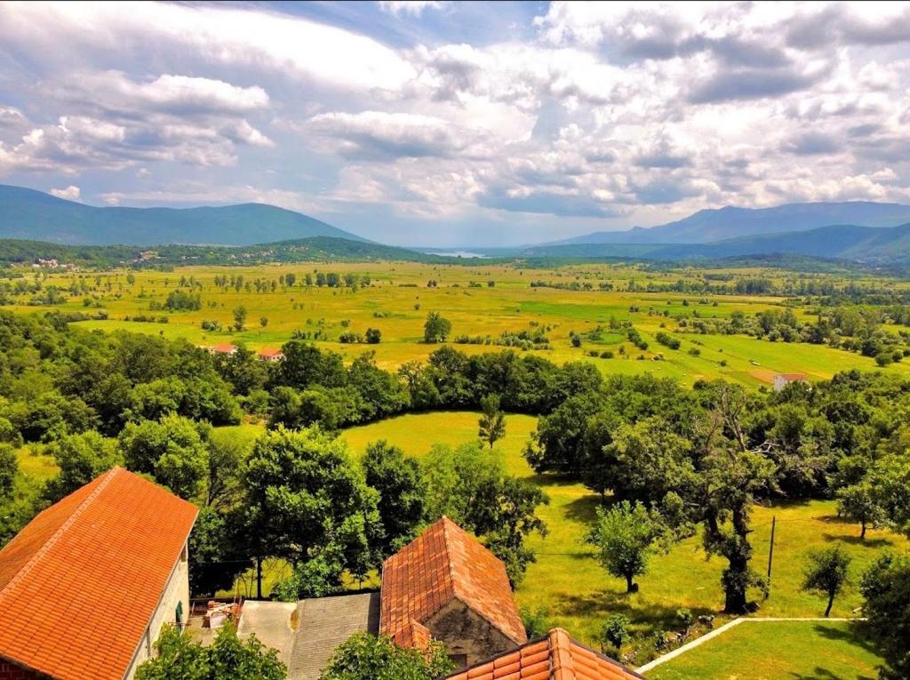 Apartman ANA photo 1