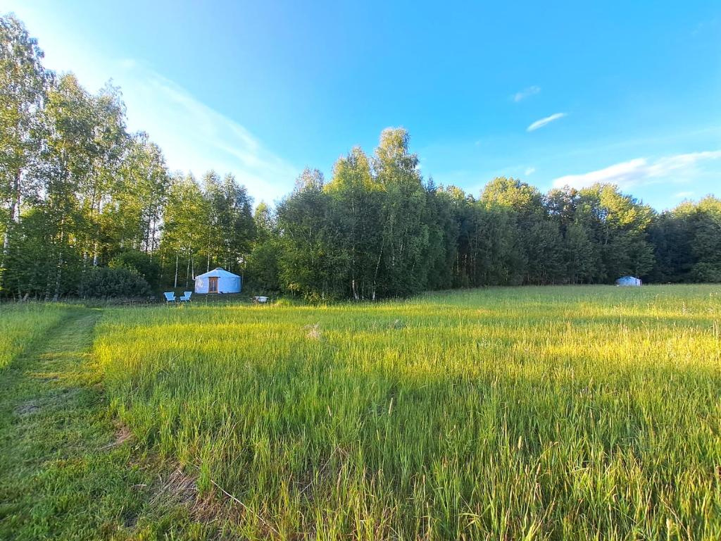 Glamping Yurt Purvs at Kleja Quiet Camping photo 3